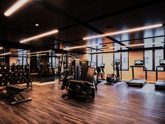 Fitness Equipment, Gym, Interior, Recessed Lighting, Wood Texture Flooring
