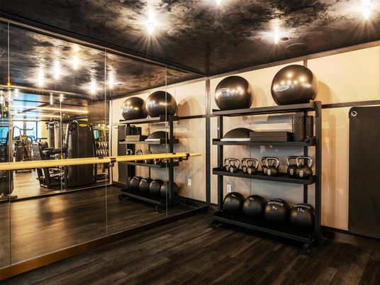 Fitness Equipment, Interior, Wood Texture Flooring