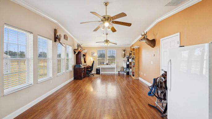 Interior, Wood Texture Flooring