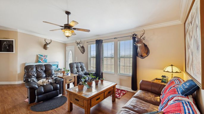 Home Office, Interior, Living room, Wood Texture Flooring