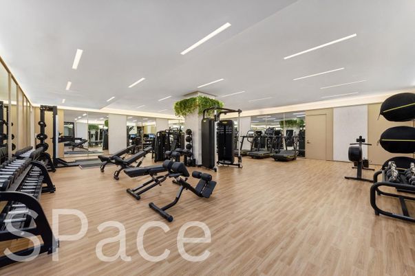 Fitness Equipment, Gym, Interior, Recessed Lighting, Wood Texture Flooring