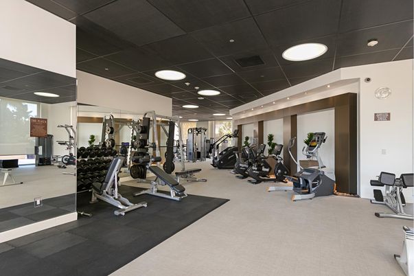 Fitness Equipment, Gym, Interior, Recessed Lighting