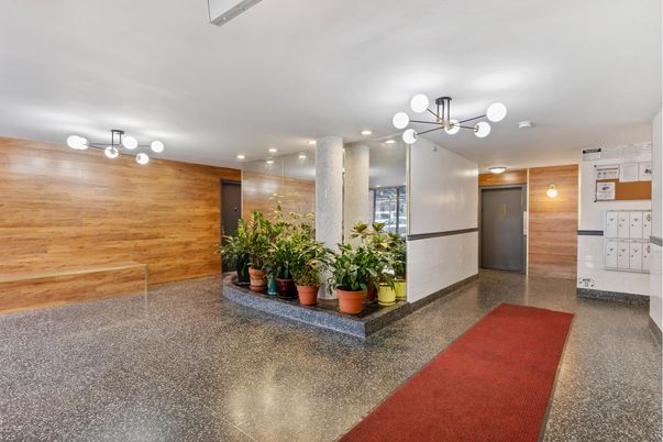 Interior, Recessed Lighting, Wooden Walls