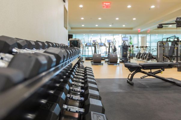Fitness Equipment, Gym, Interior, Recessed Lighting