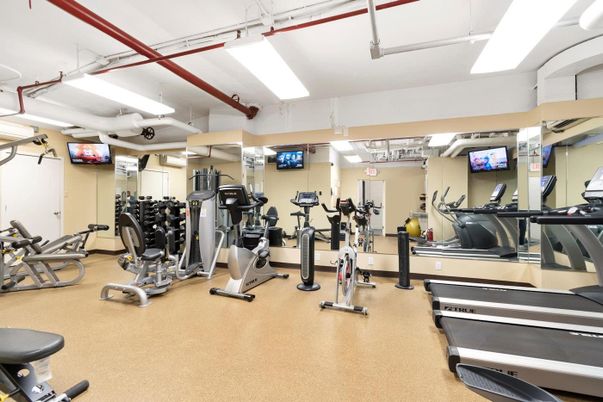 Fitness Equipment, Gym, Interior