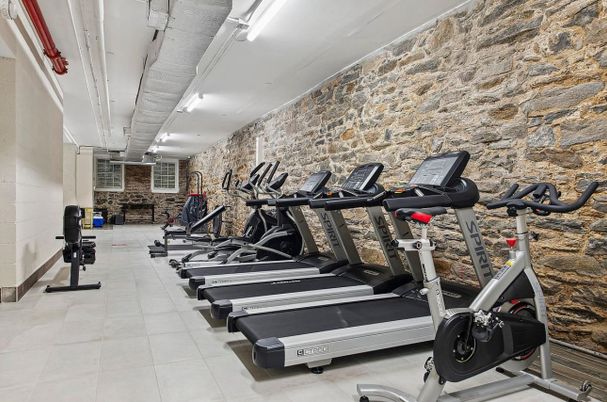 Fitness Equipment, Gym, Interior, Stone Walls