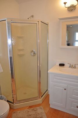 Bathroom, Glass Shower, Interior, Wood Texture Flooring