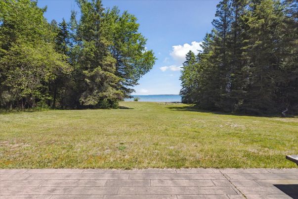 Backyard, Exterior, Water