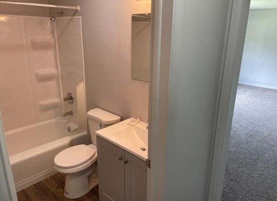 Bathroom, Interior, Wood Texture Flooring