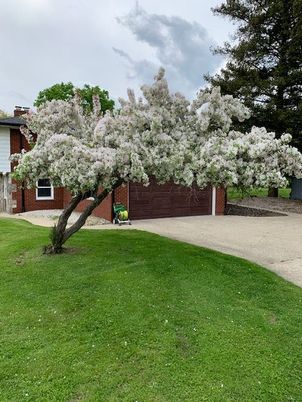 Backyard, Detached Garage, Exterior