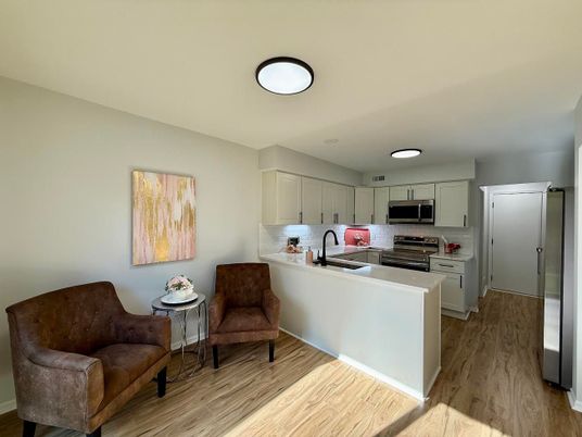 Interior, Kitchen, Stainless Steel Appliances, Wood Texture Flooring