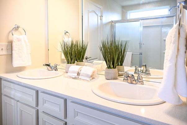 Bathroom, Dual Sink Vanities, Glass Shower, Interior