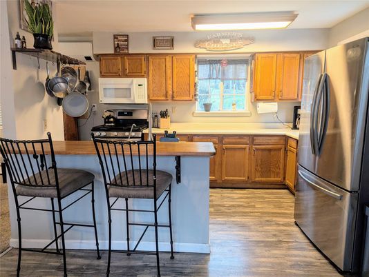 Interior, Kitchen, Stainless Steel Appliances, Wood Texture Flooring