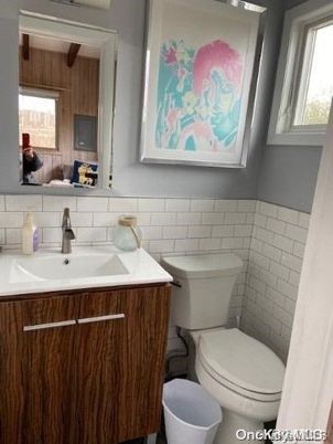 Bathroom, Interior, Wooden Walls