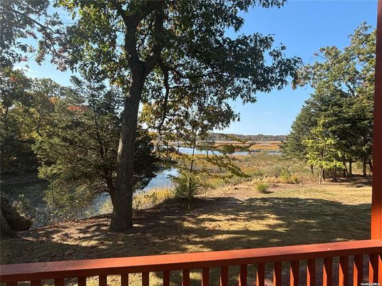 Backyard, Exterior, Water