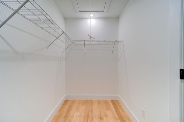 Interior, Walk-in Closets, Wood Texture Flooring