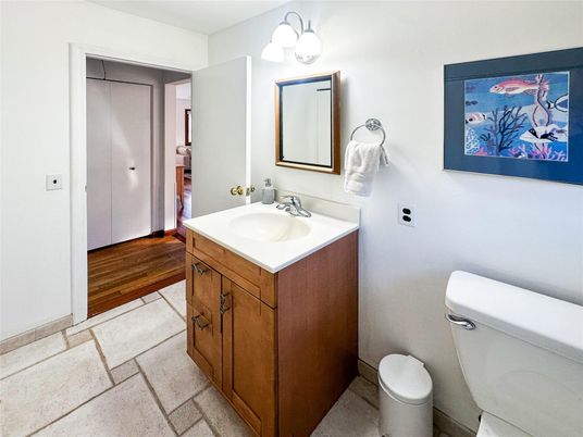 Bathroom, Interior, Wood Texture Flooring