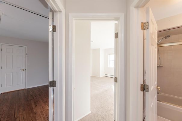 Bathroom, Interior, Wood Texture Flooring