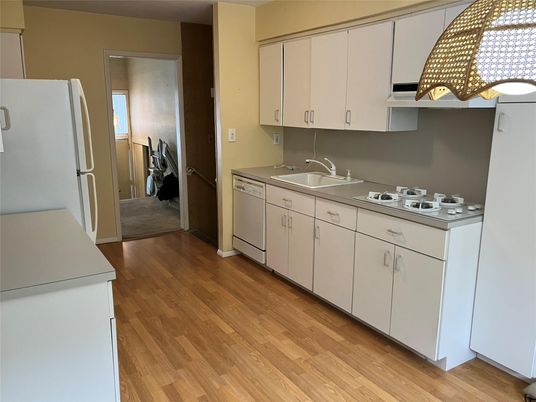 Interior, Kitchen, Wood Texture Flooring