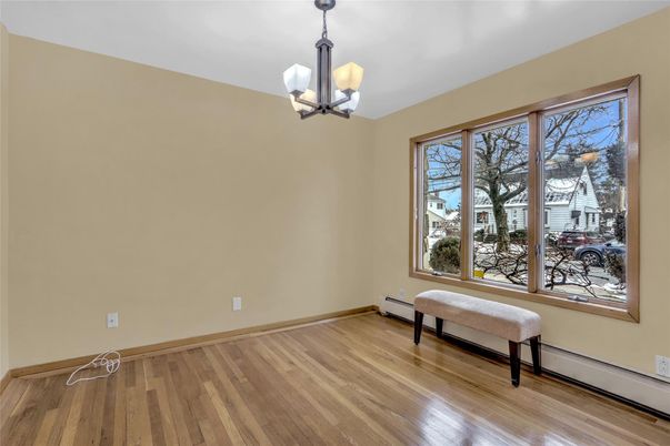 Chandelier, Interior, Wood Texture Flooring