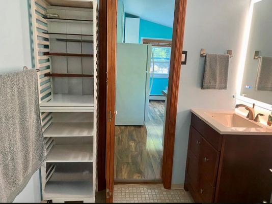 Bathroom, Interior, Wood Texture Flooring