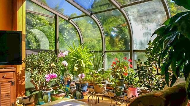 Glass Ceilings, Interior, Sun Room