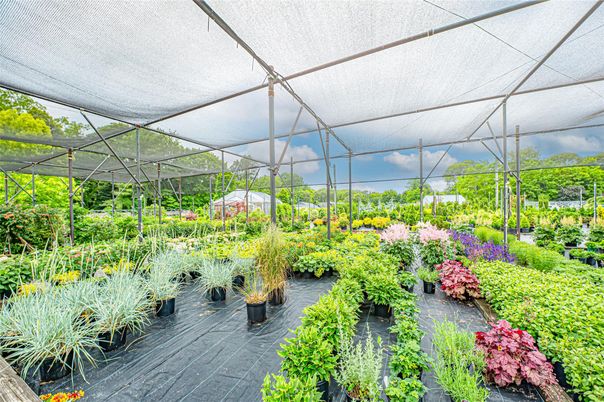 Glass Ceilings, Interior, Sun Room