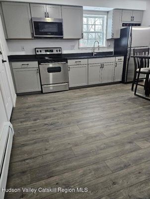 Interior, Kitchen, Stainless Steel Appliances, Wood Texture Flooring