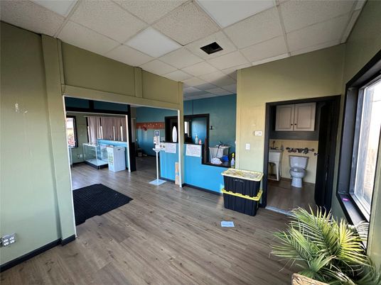Interior, Washer, Wood Texture Flooring