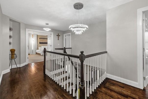 Chandelier, Interior, Wood Texture Flooring