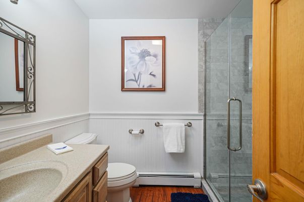 Bathroom, Glass Shower, Interior, Wood Texture Flooring
