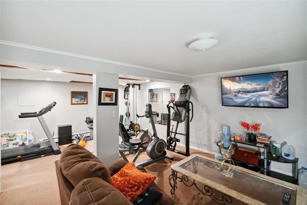 Fitness Equipment, Interior, Wood Texture Flooring