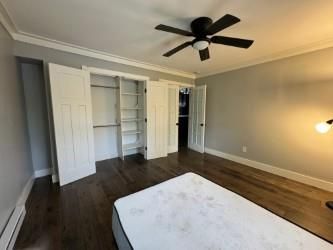 Interior, Walk-in Closets, Wood Texture Flooring