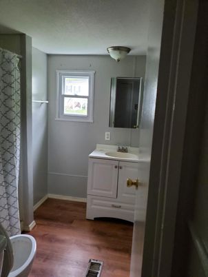 Bathroom, Interior, Wood Texture Flooring