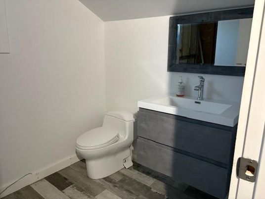 Bathroom, Interior, Wood Texture Flooring