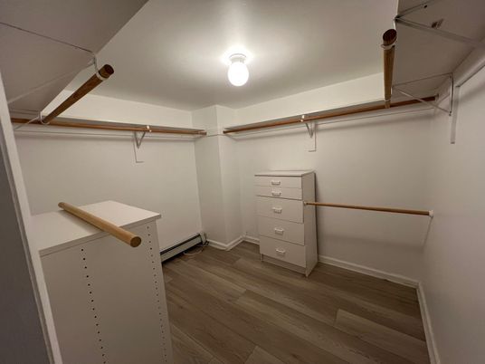 Interior, Walk-in Closets, Wood Texture Flooring