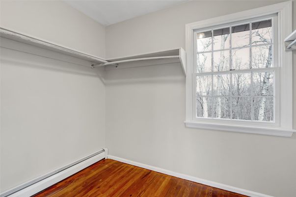 Interior, Walk-in Closets, Wood Texture Flooring