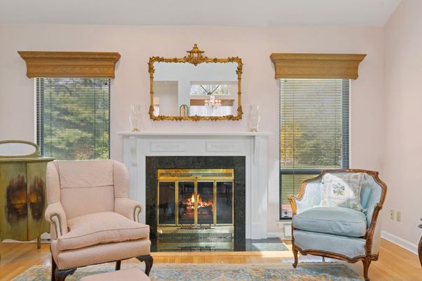 Fireplace, Interior, Wood Texture Flooring