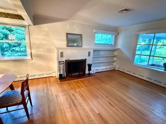 Fireplace, Interior, Wood Texture Flooring