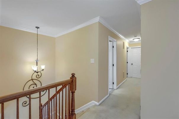 Interior, Pendant Lights