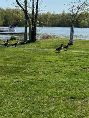 Exterior, Lake