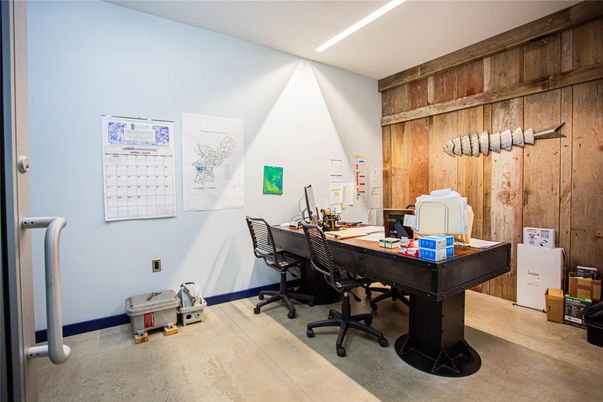 Home Office, Interior, Wooden Walls