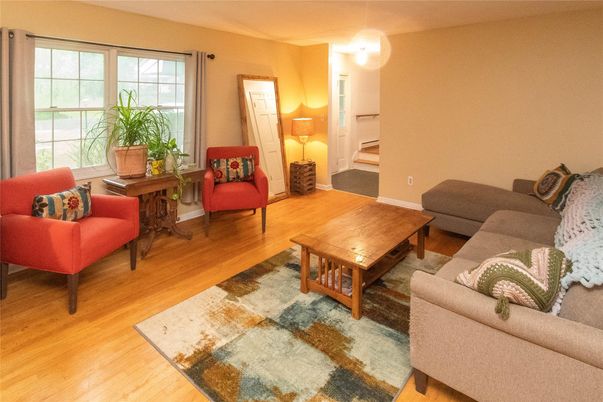 Interior, Living room, Wood Texture Flooring