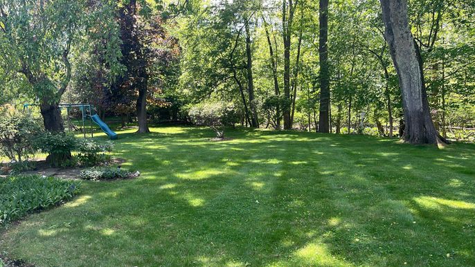 Backyard, Exterior, Playground