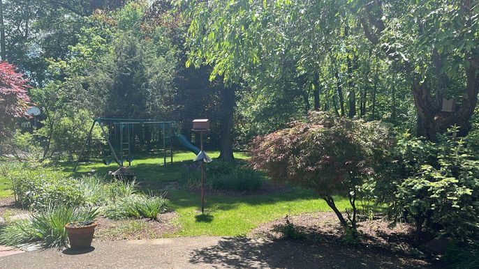 Backyard, Exterior, Playground