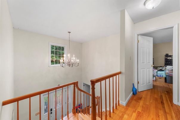 Chandelier, Interior, Wood Texture Flooring