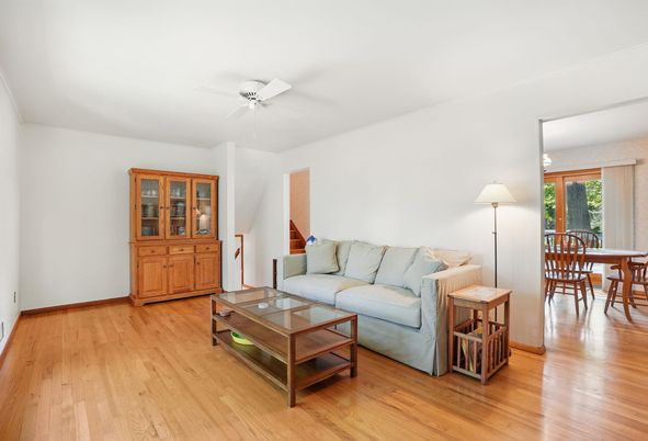 Dining room, Interior, Living room, Wood Texture Flooring