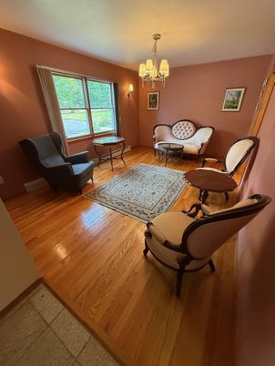 Chandelier, Interior, Living room, Wood Texture Flooring