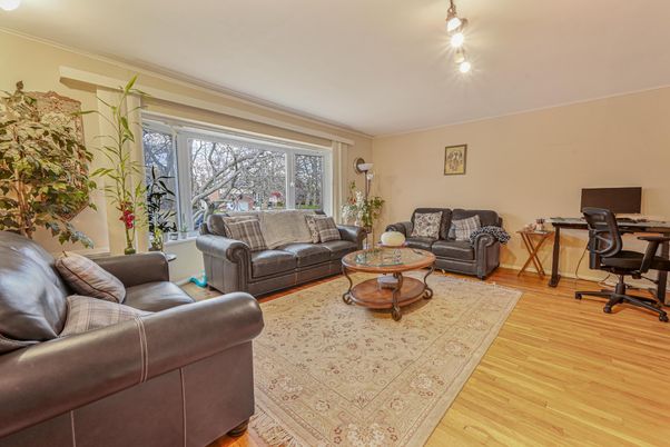 Home Office, Interior, Living room, Wood Texture Flooring