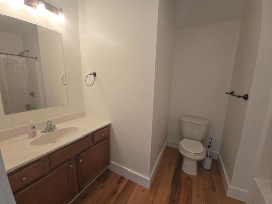 Bathroom, Interior, Wood Texture Flooring
